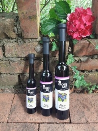 Direktträger Weintraube